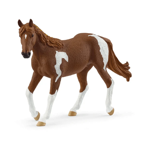 14901 Paint Horse Mare