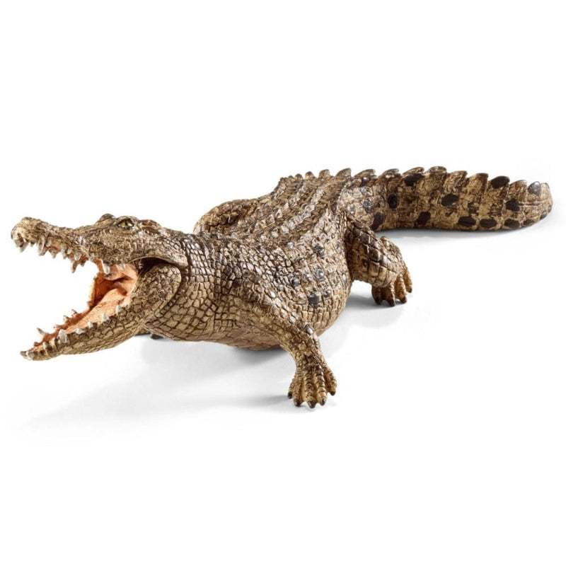 14736 Crocodile