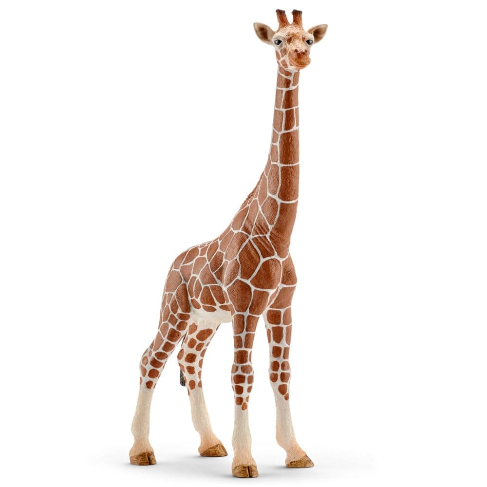 14750 Giraffe Female