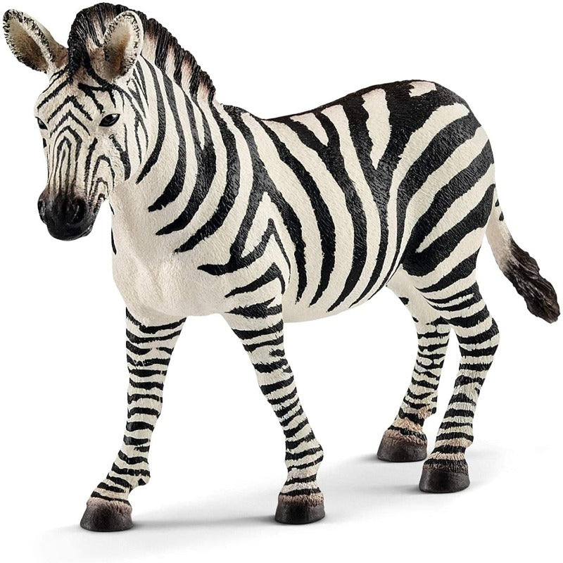 14810 Zebra Female