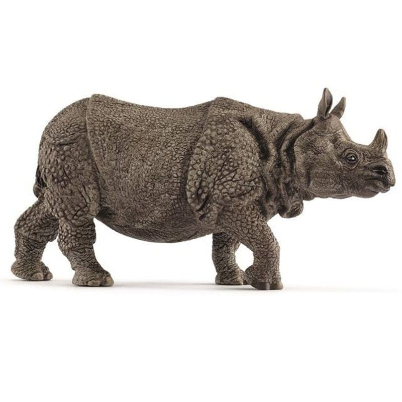 14816 Indian Rhinoceros