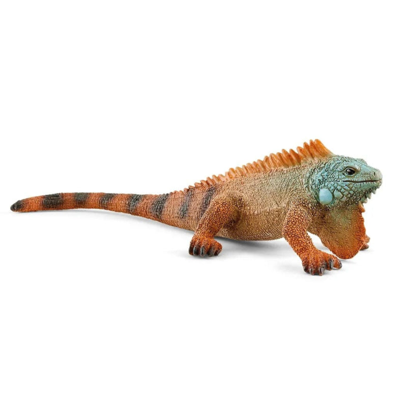 14854 Iguana