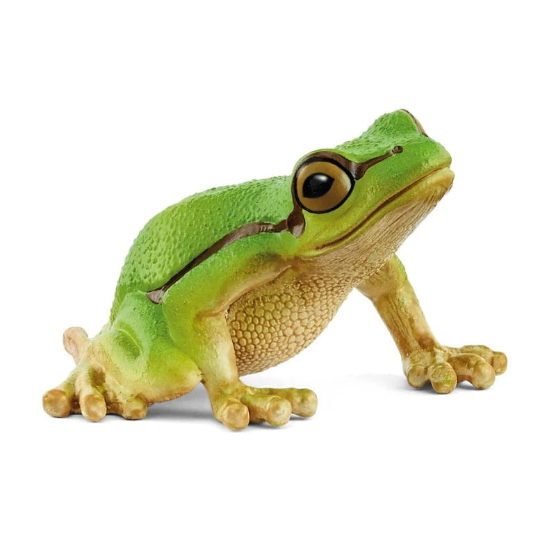 14882 European Tree Frog