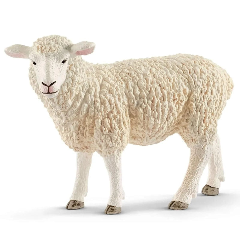 13882 Sheep