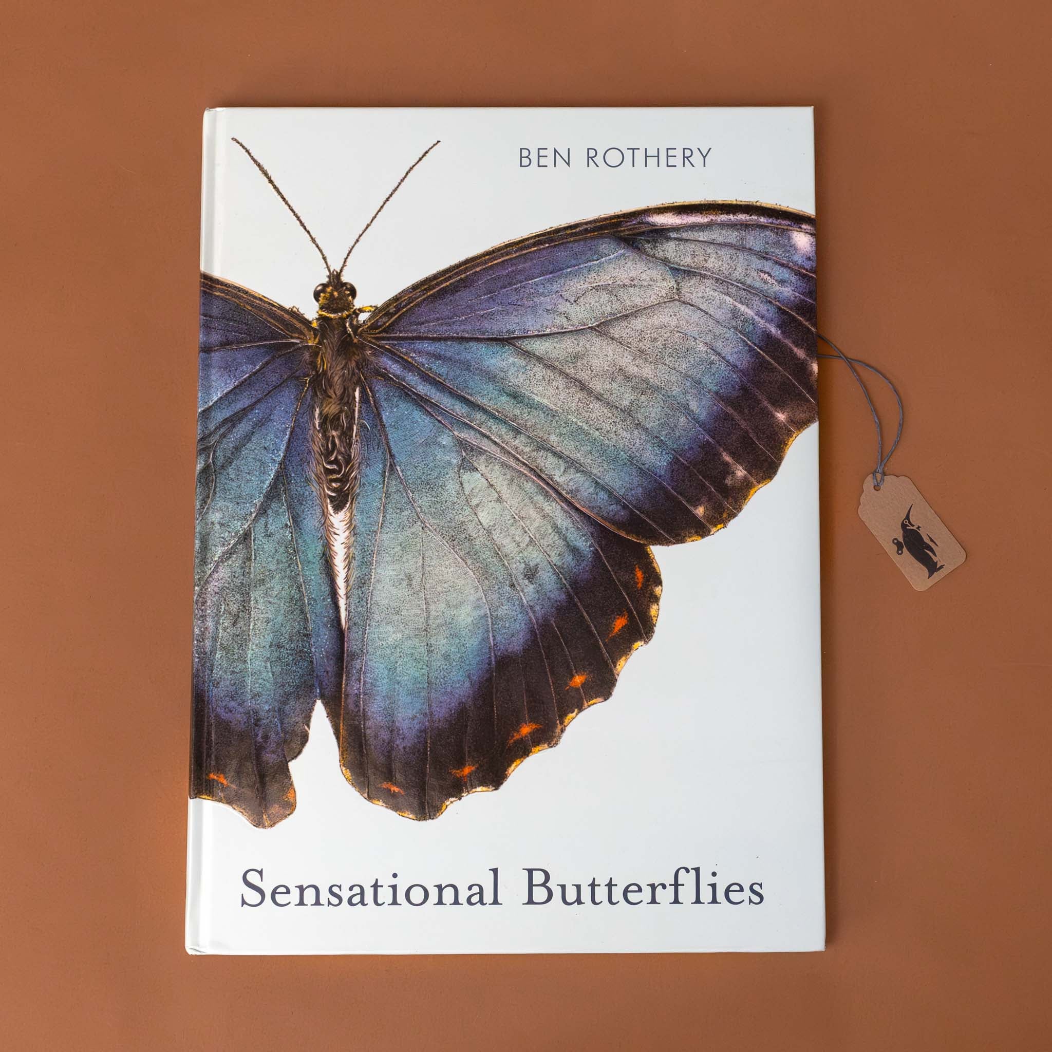 Sensational Butterflies Book