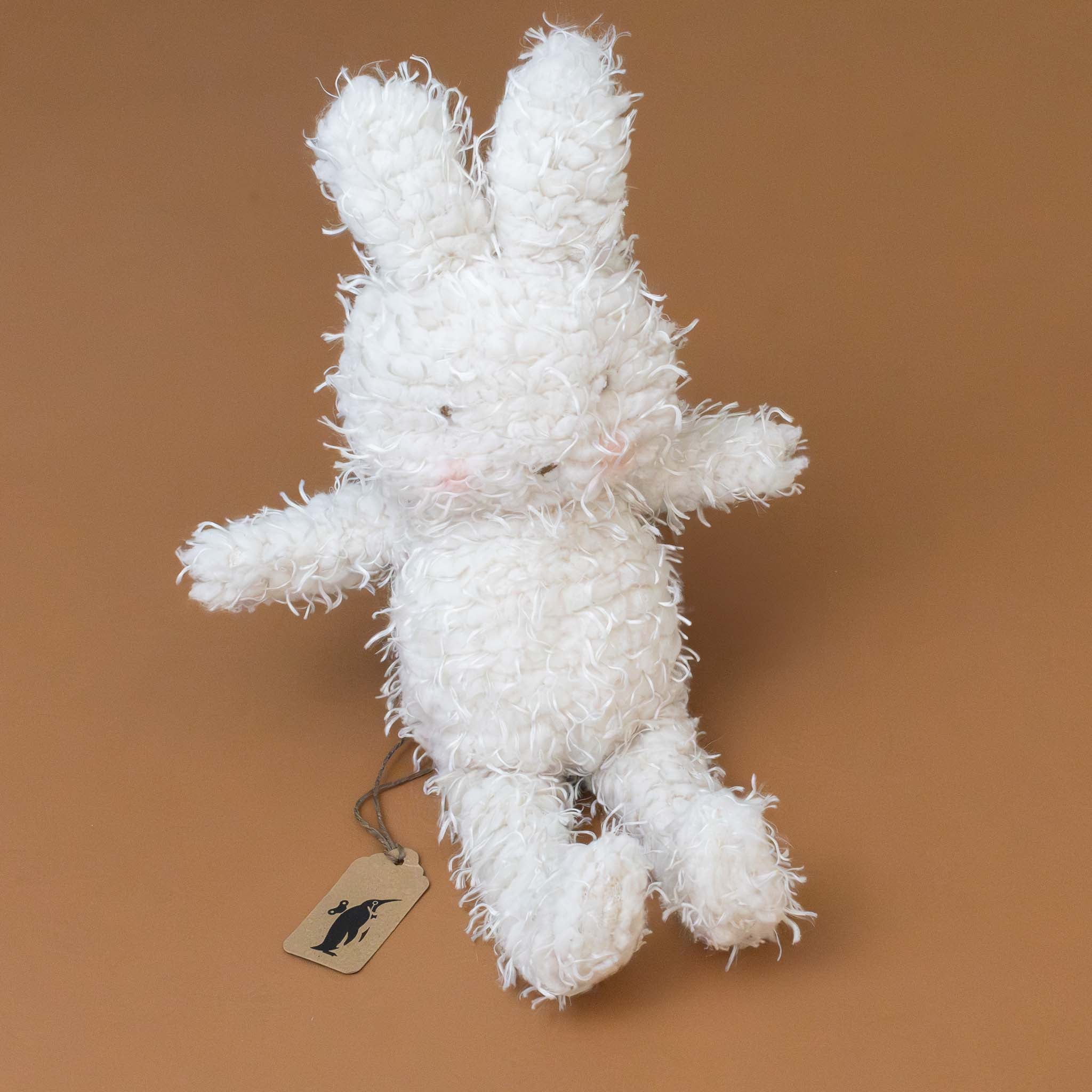 Shaggy Bunny | Hoppy