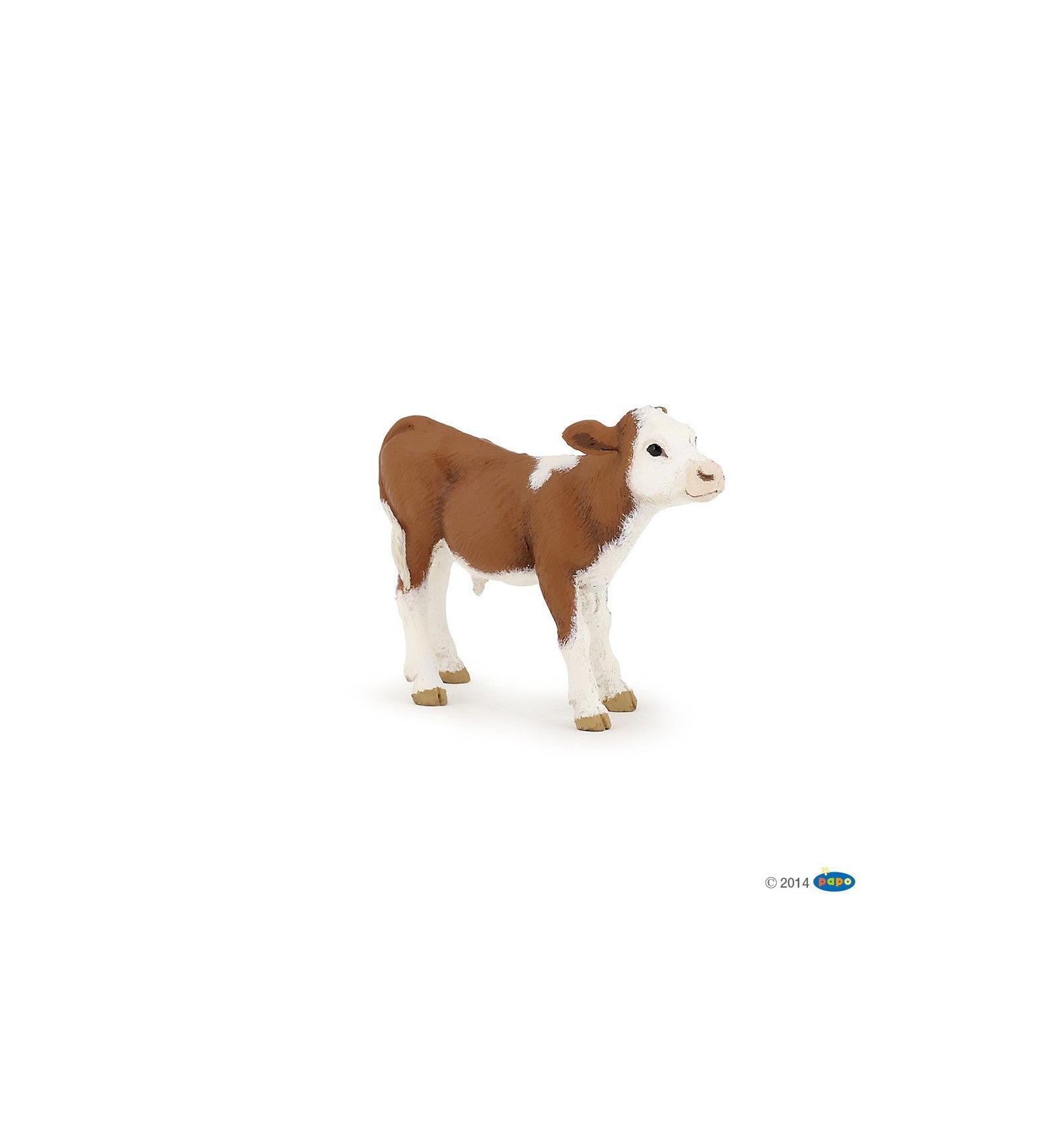 PAPO - Simmental Calf
