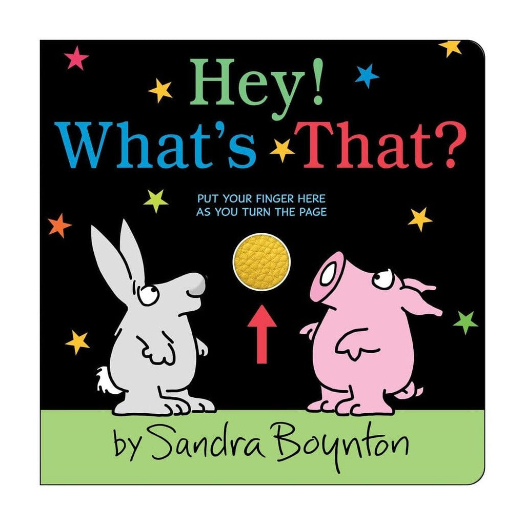Hey What's That - Sandra Boyton