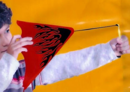 "Slingshot" Hang Glider