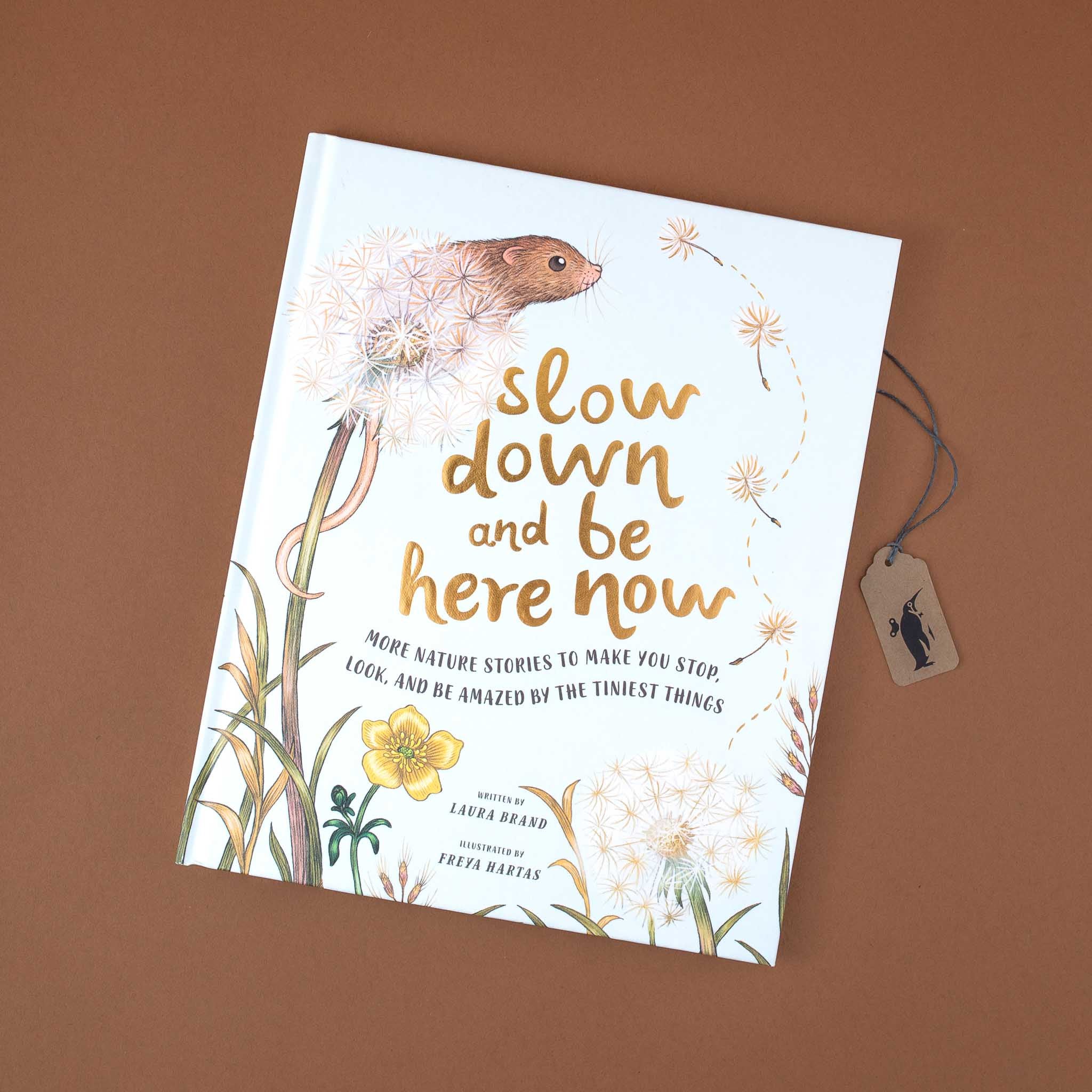 Slow Down and Be Here Now Book