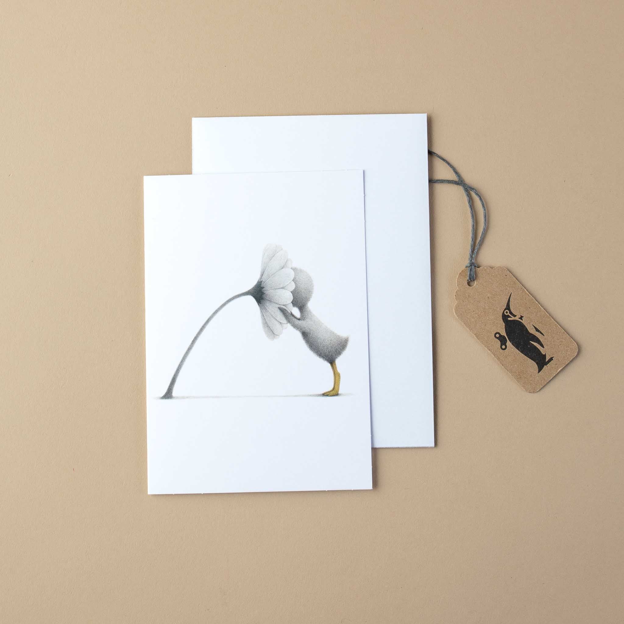 So Much Gratitude Note Card | Wonderful