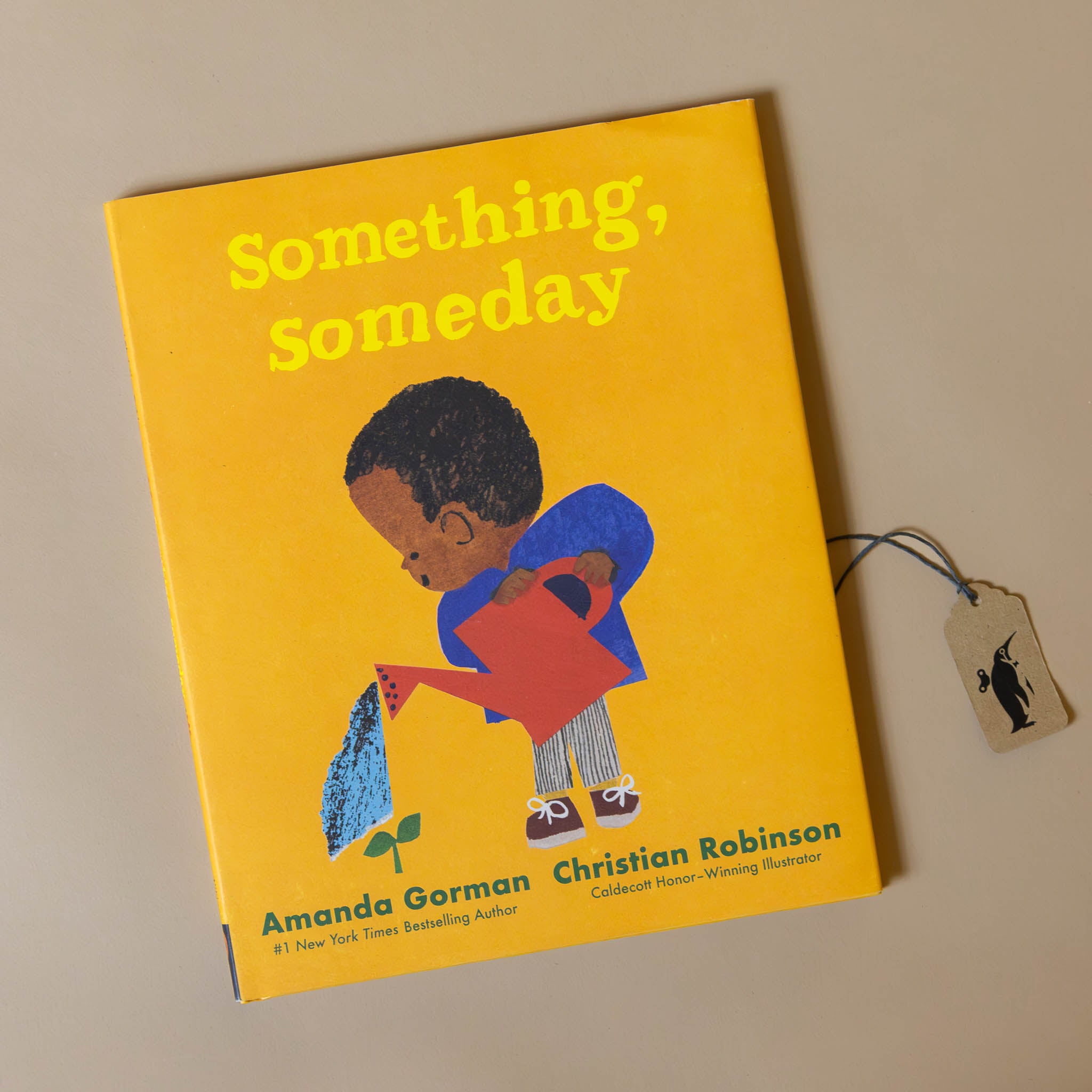 Something Someday Book