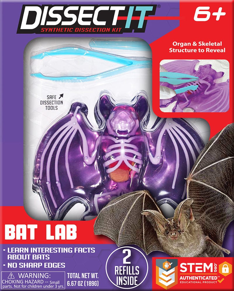 Dissect - It Bat Lab