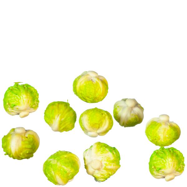 10 Dollhouse Miniature Cabbages