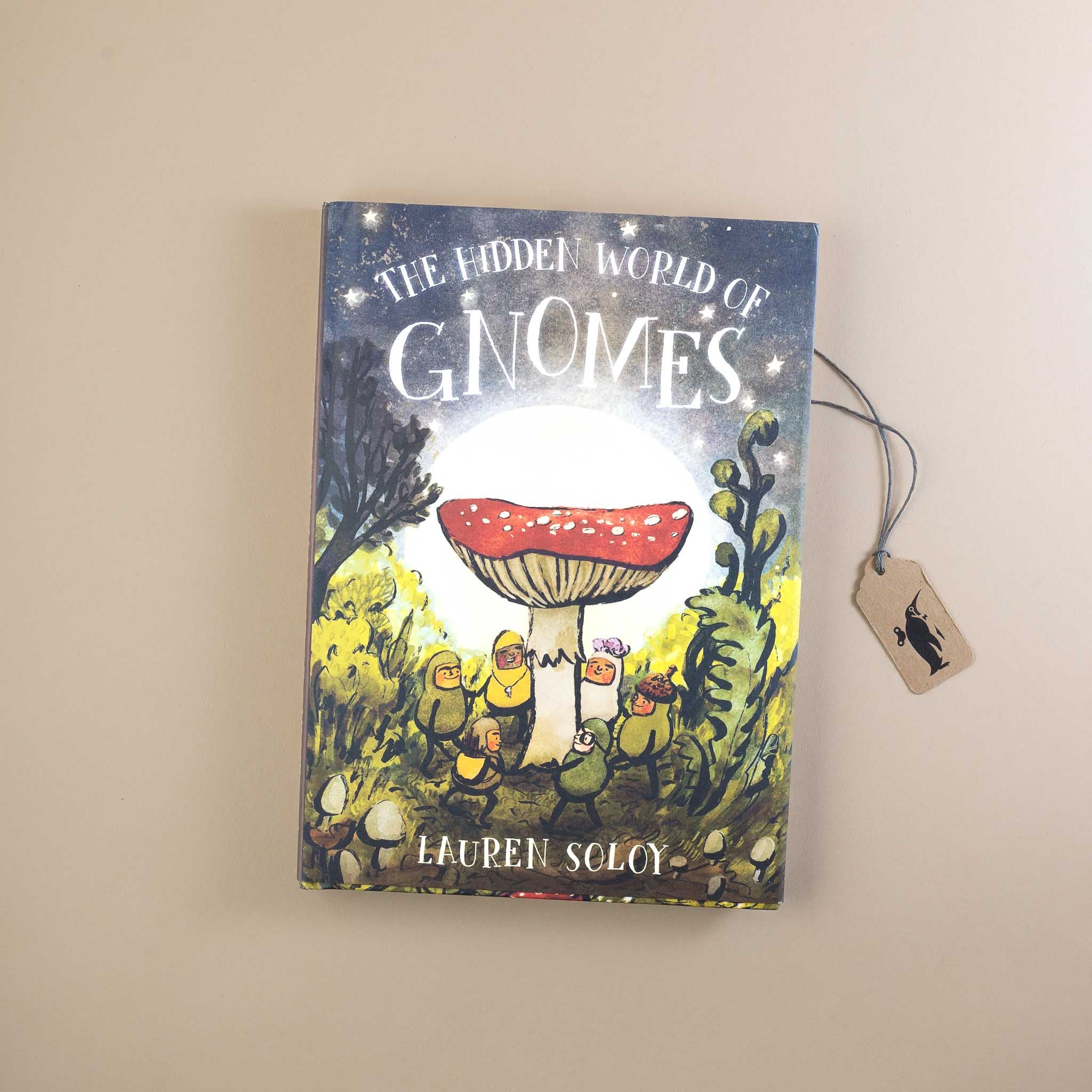 The Hidden World of Gnomes