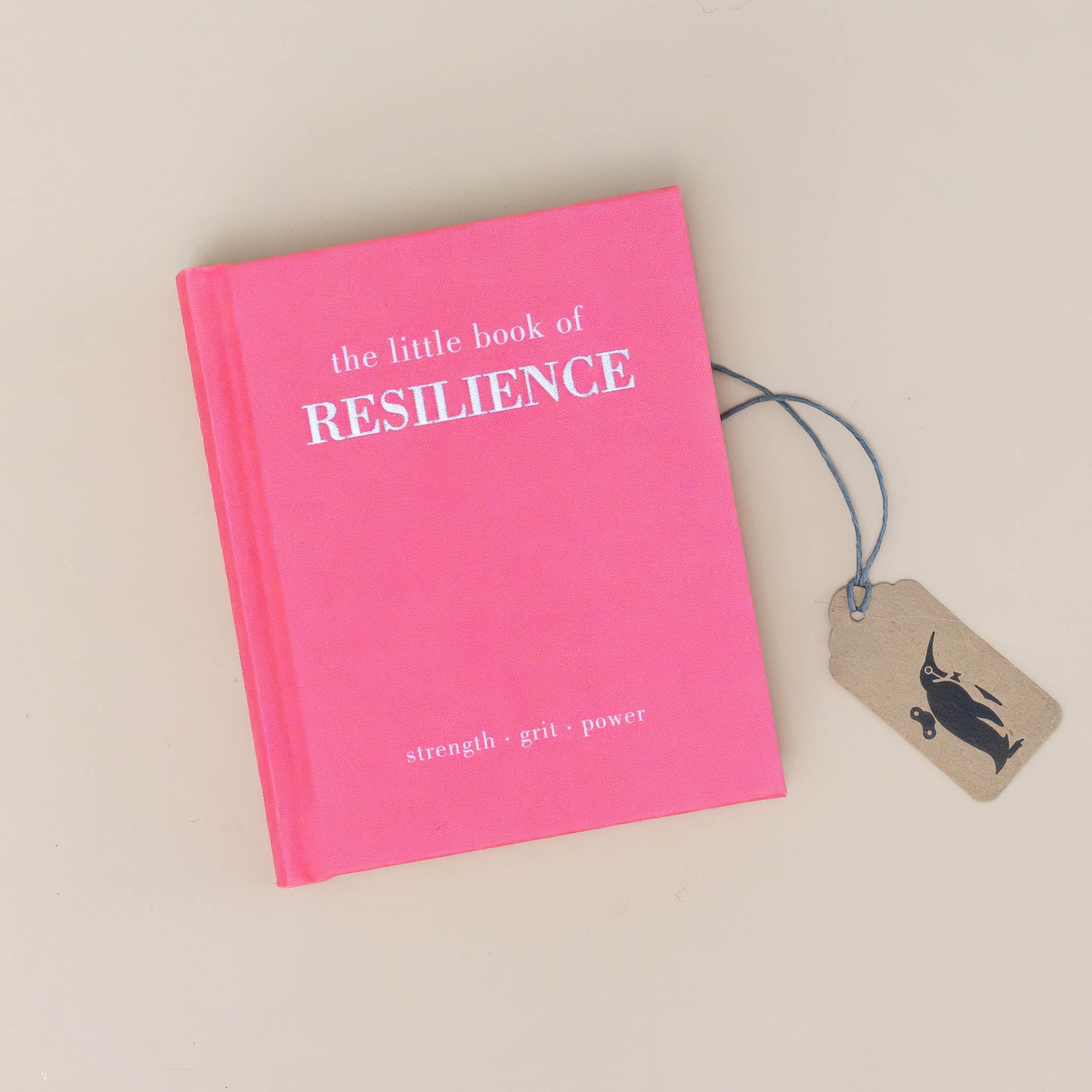 The Little Book of Resilience