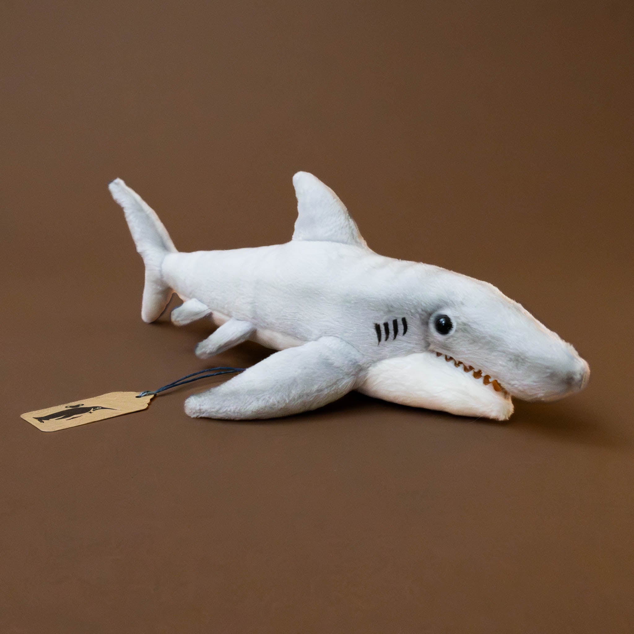 Tiger Shark