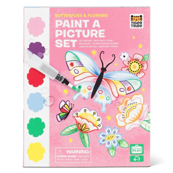Paint a Picture Set -  Butterflies & Flowers