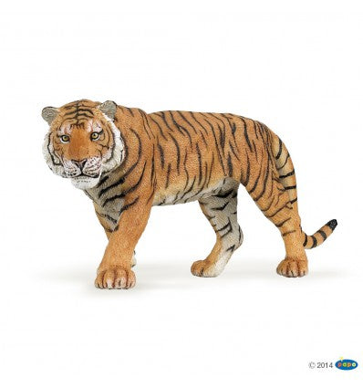 PAPO - Tiger