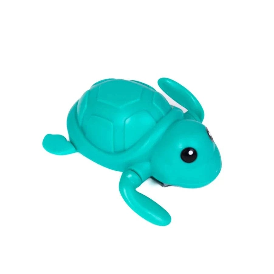 Wind Up Turtle