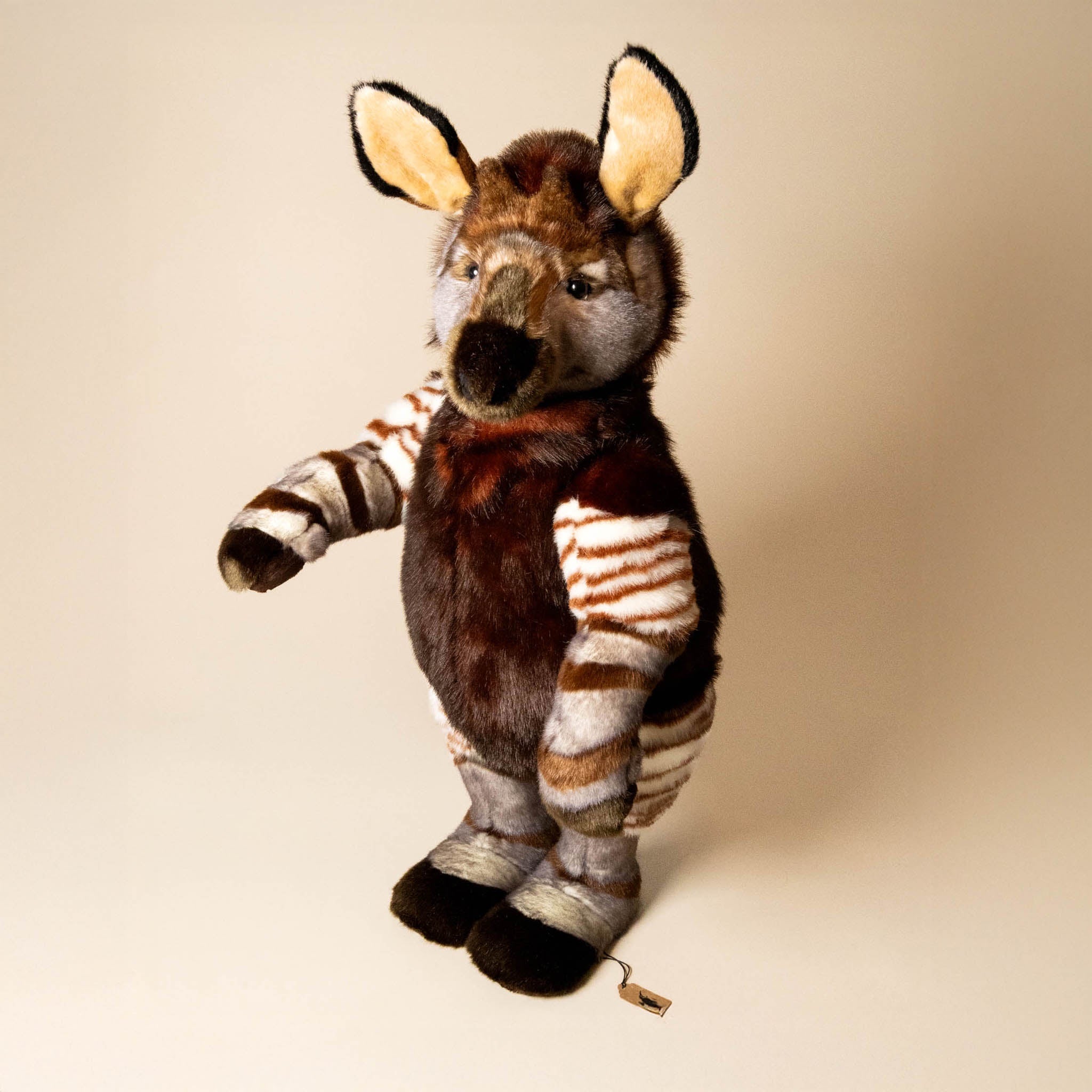 Blaze the Traveling Okapi