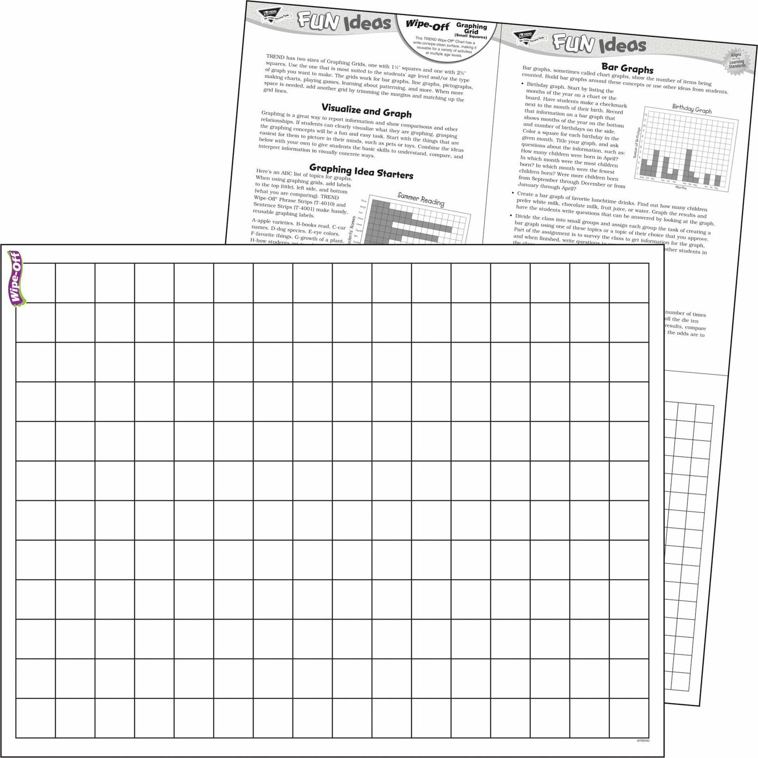 Graphing Grid (small Squares) Wipe-off Chart, 17" X 22"