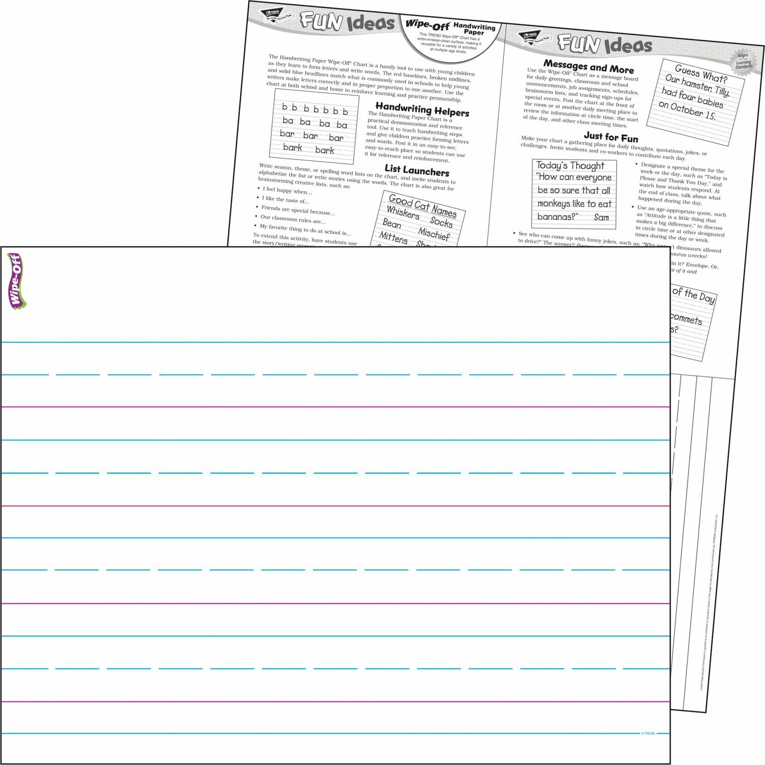 Handwriting Paper Wipe-off Chart, 17" X 22"
