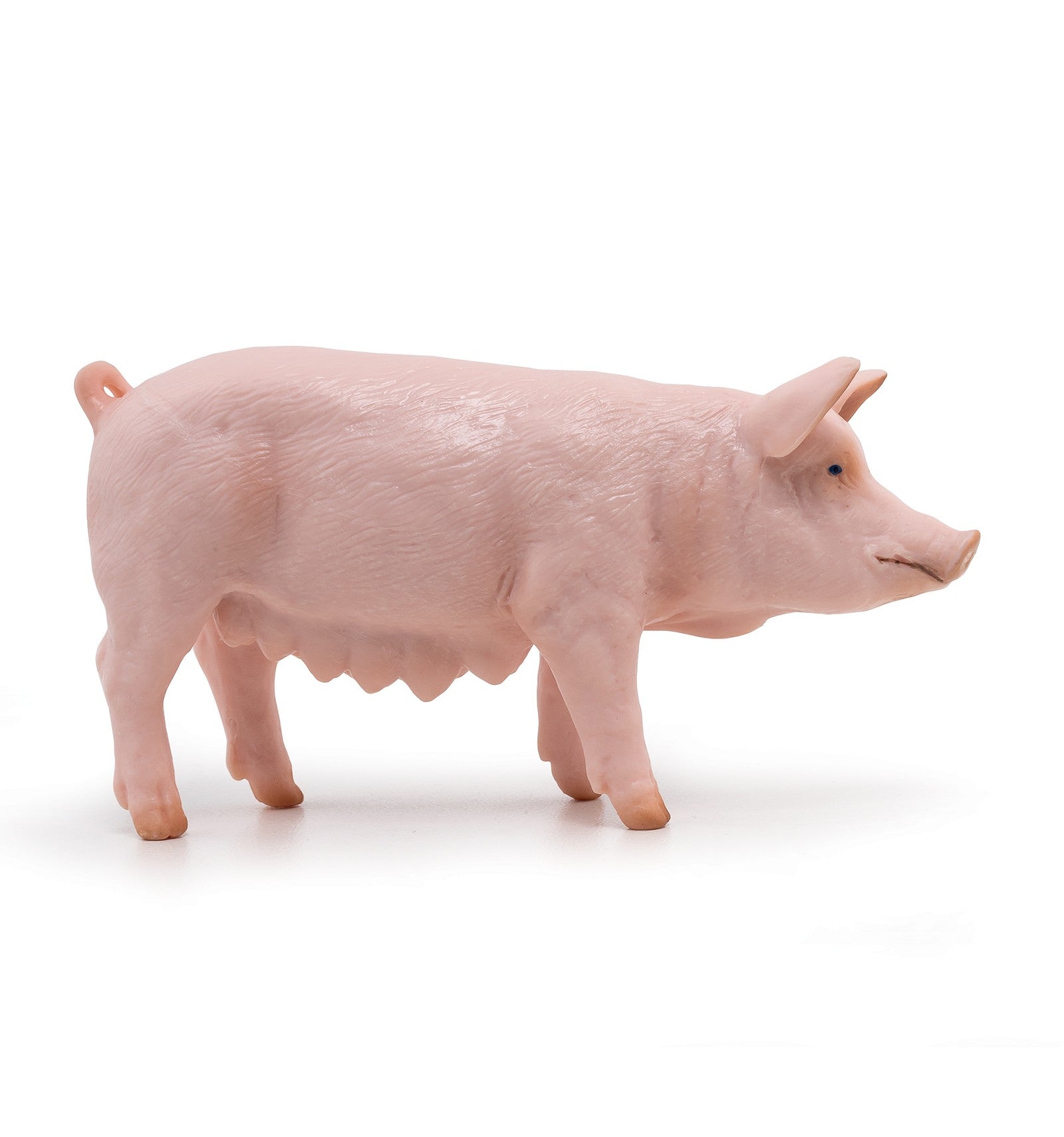 PAPO - Sow