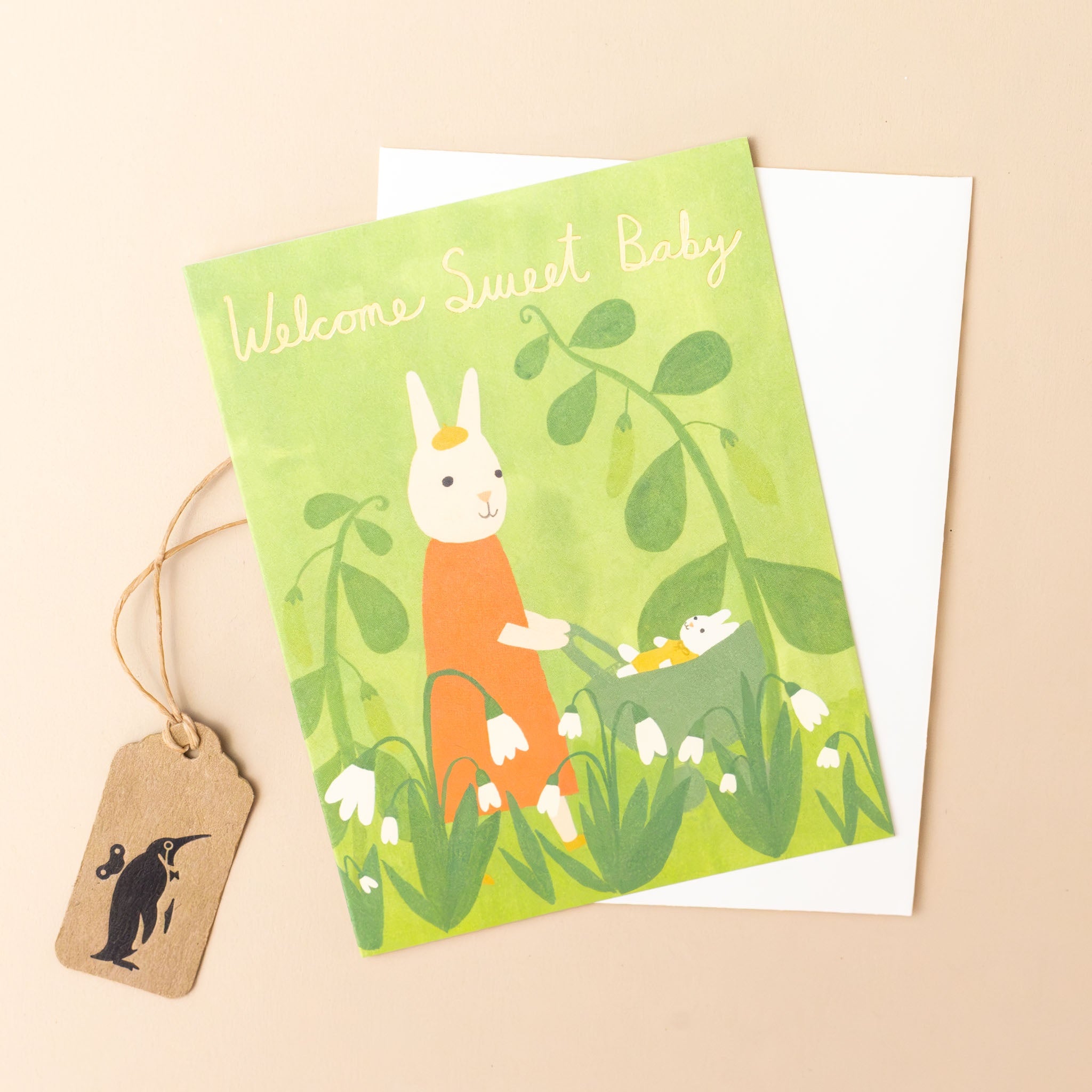 Welcome Baby Bunny Greeting Card