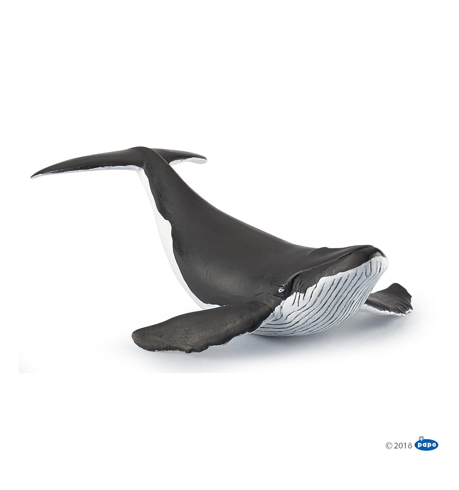 PAPO - Whale Calf