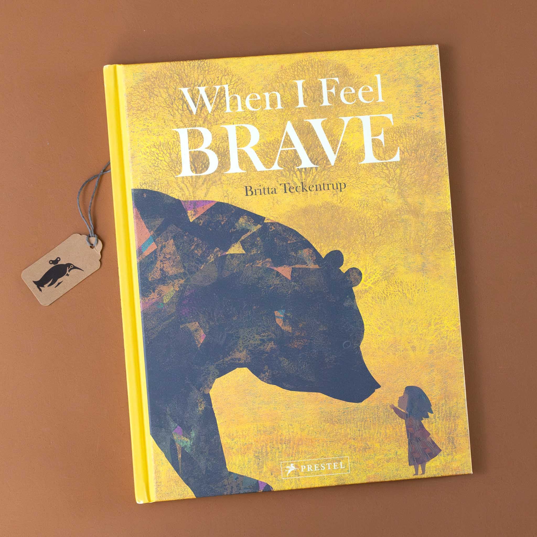 When I Feel Brave Book