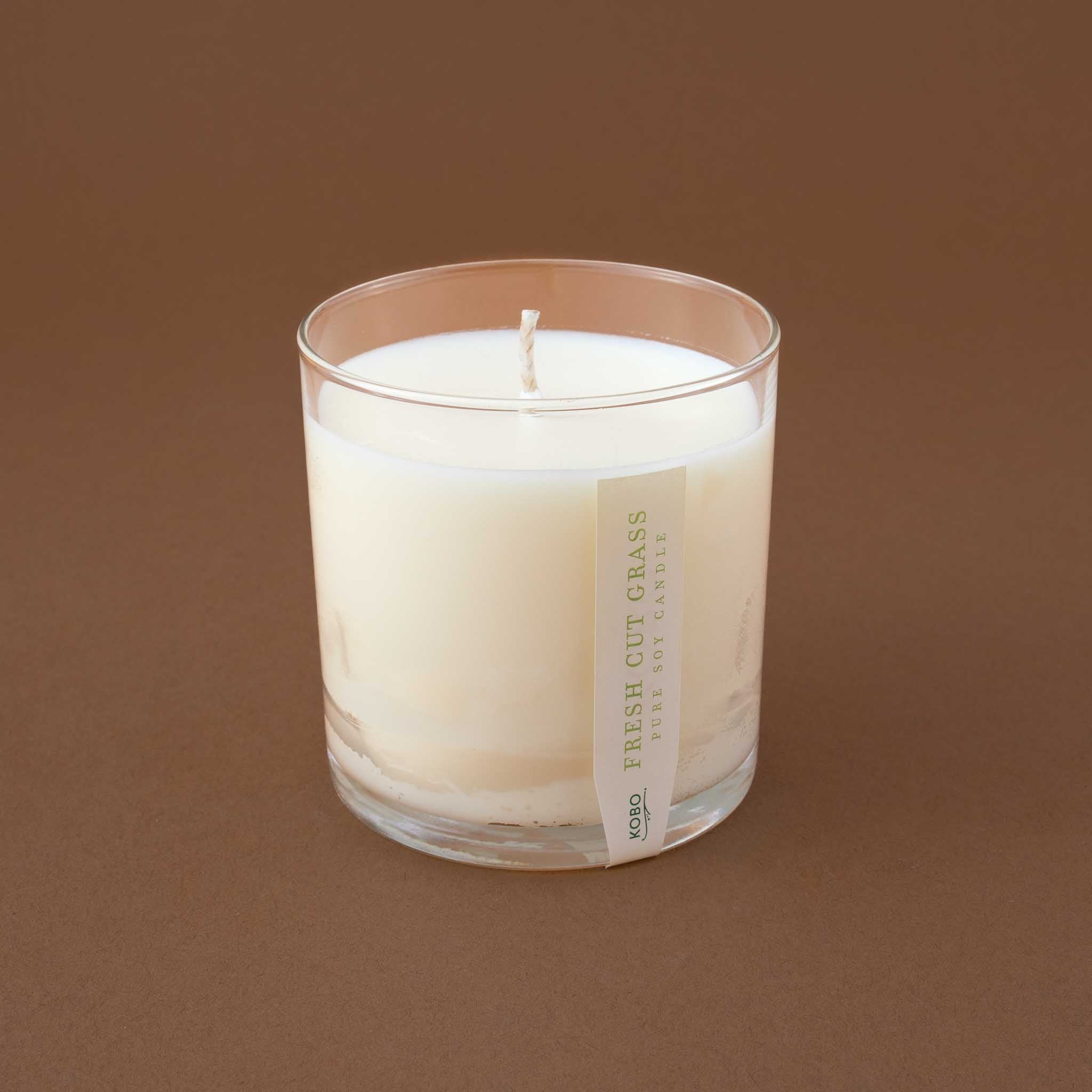 Wild Tomato Vine Candle with Plantable Box