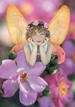 "Wild Rose" Puzzle