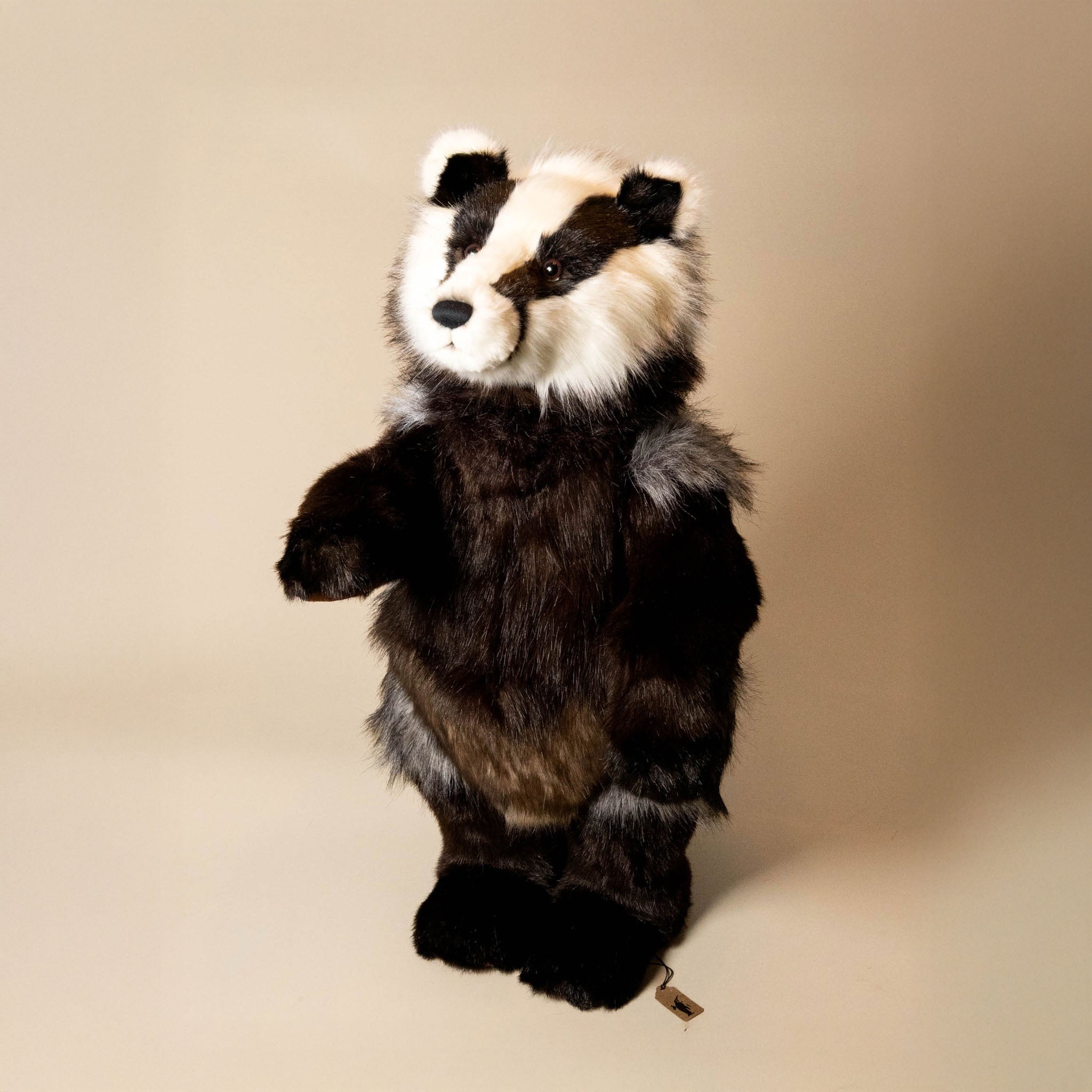 Woodsy the Burrowing Badger