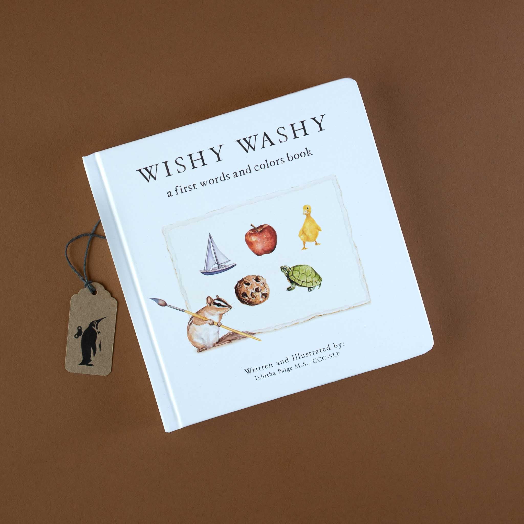 Wishy Washy | A Board Book of First Words & Colors