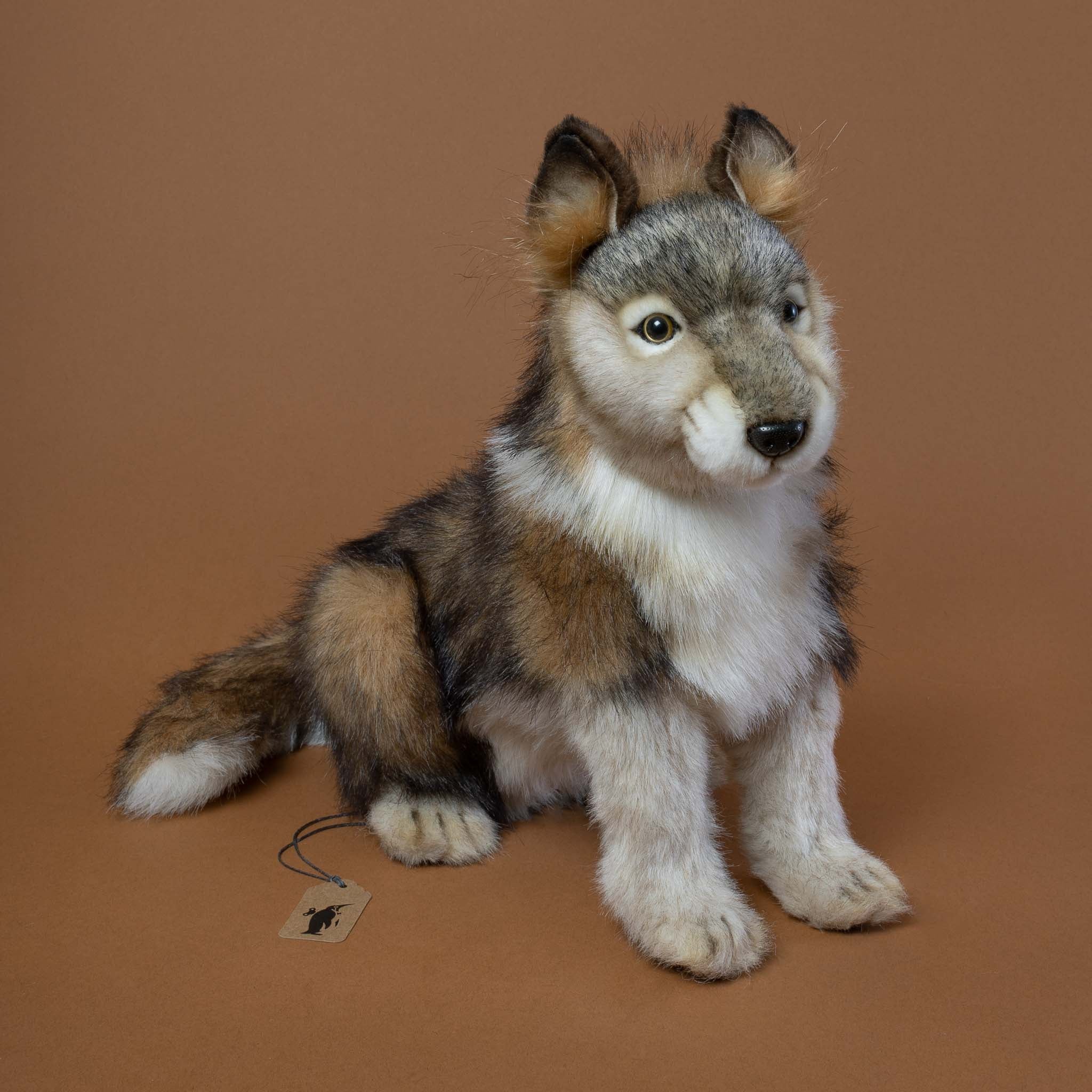 Wolf Cub | Sitting