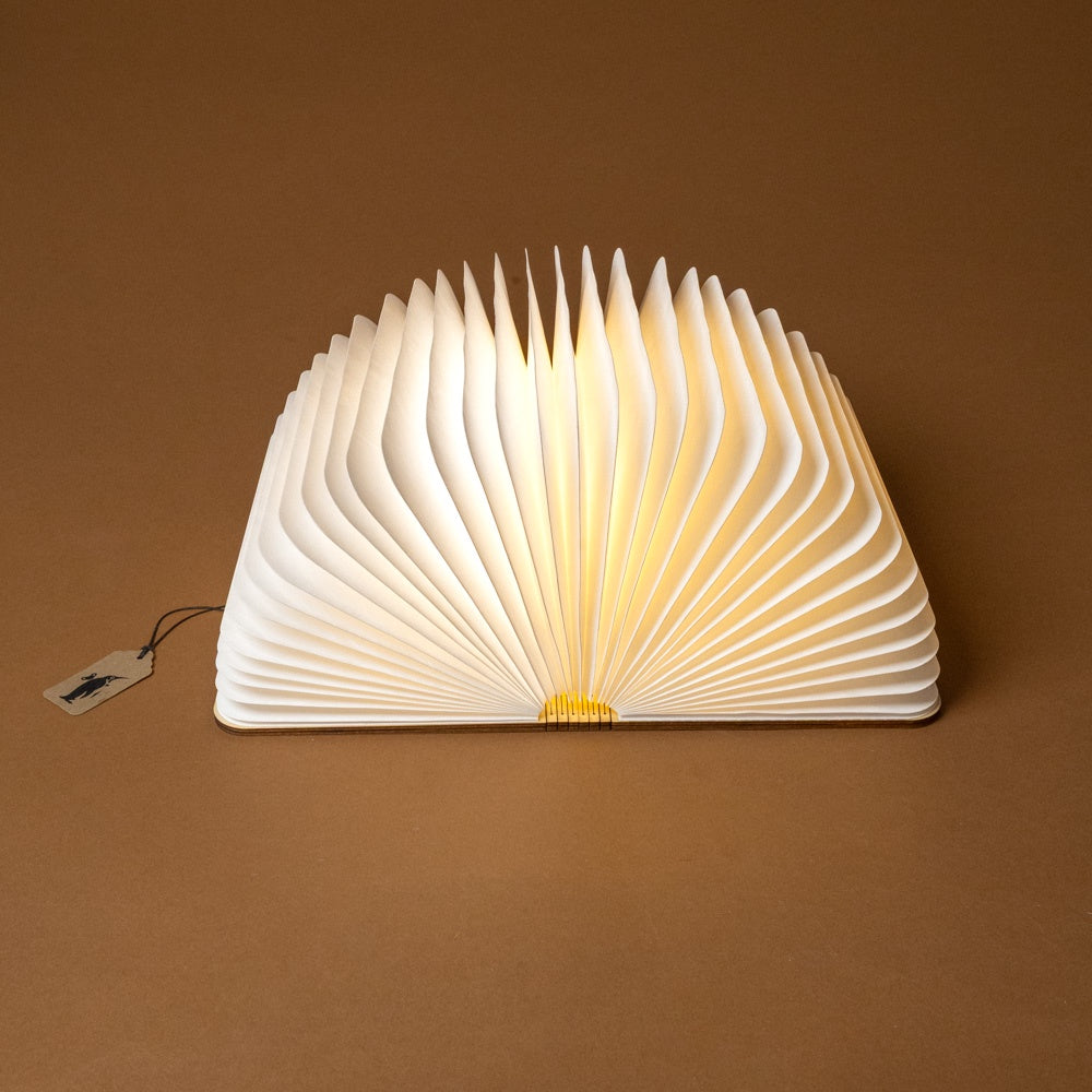 Wooden Book Lamp| Maple