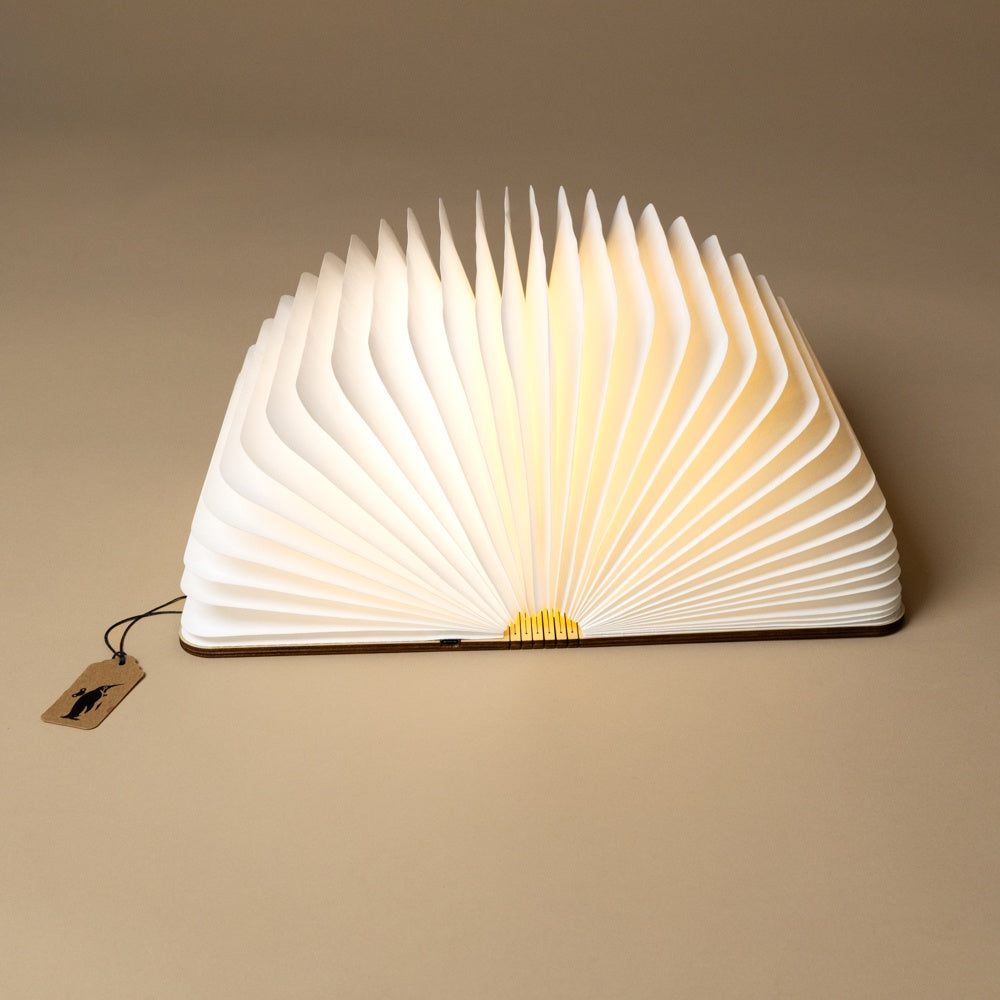 Wooden Book Lamp | Walnut
