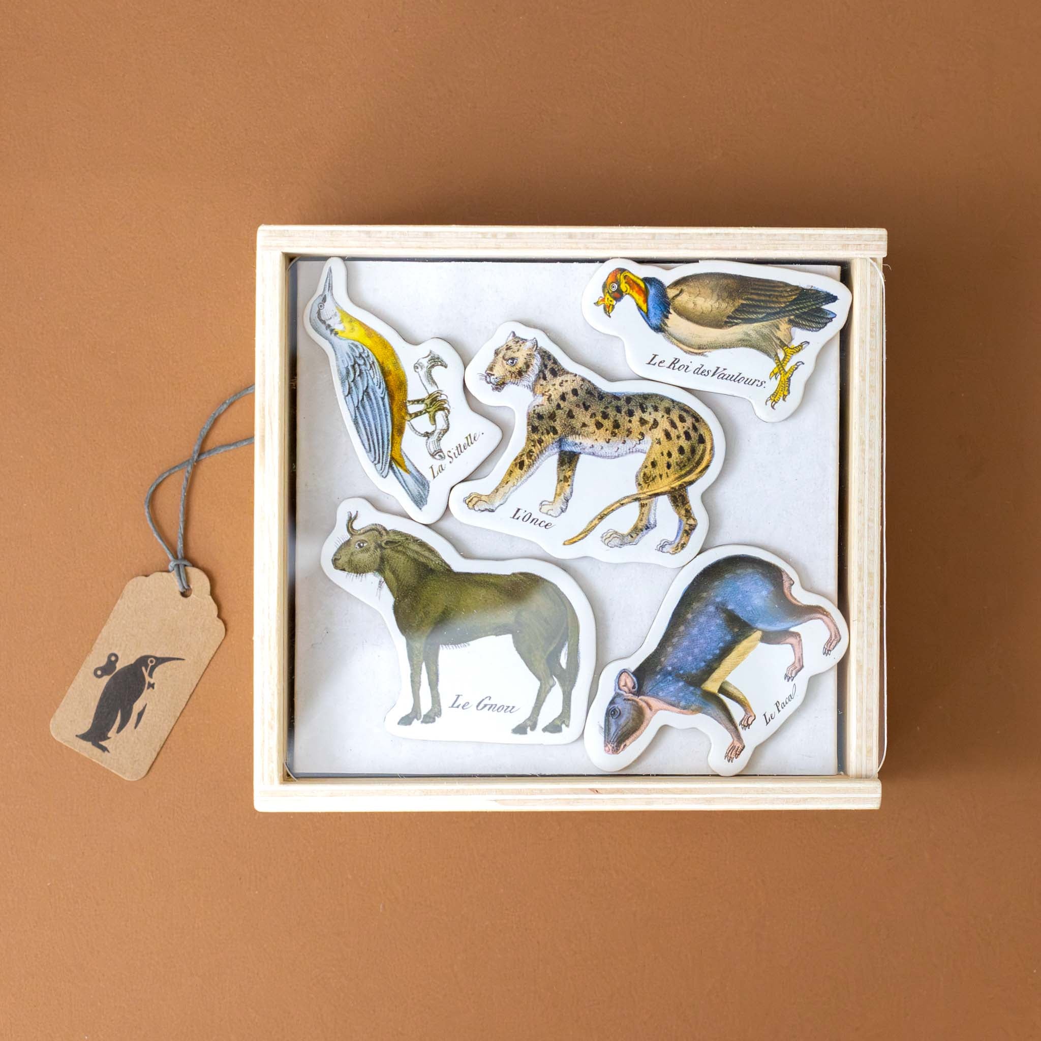 Wooden Magnet Set | Zoology