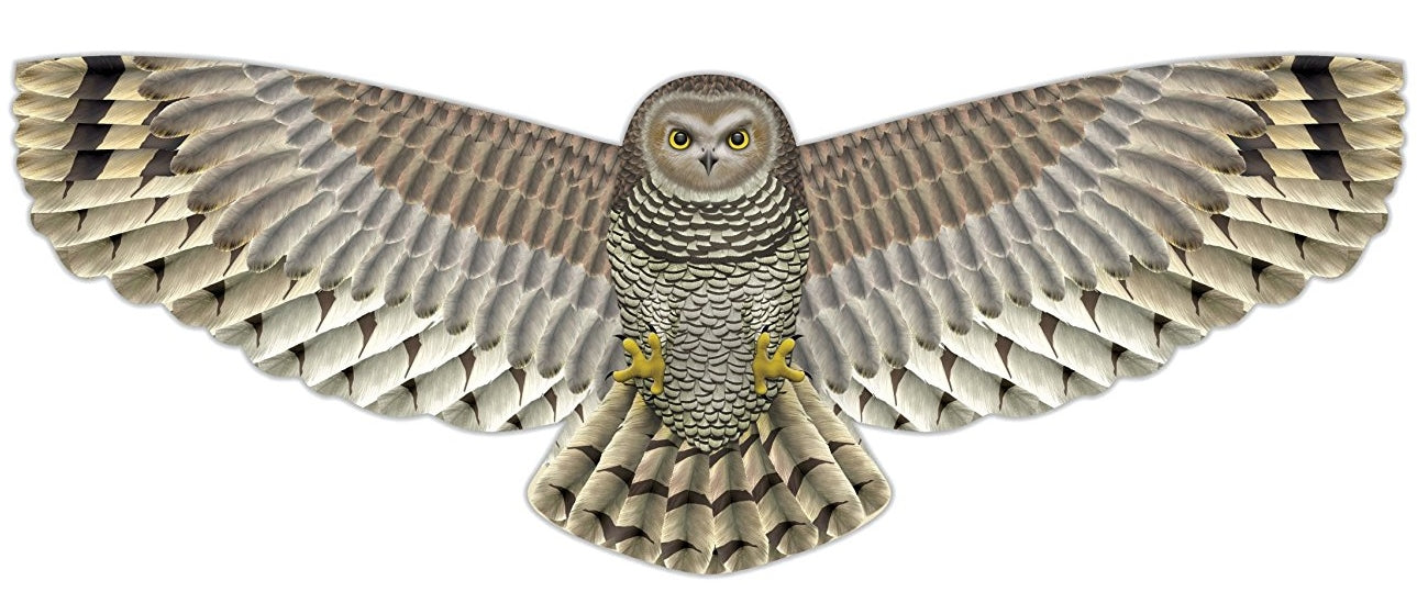 "Birds of Prey" Kite with Line & Handle Included