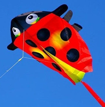 "Mini Ladybug" Kite with Line Included